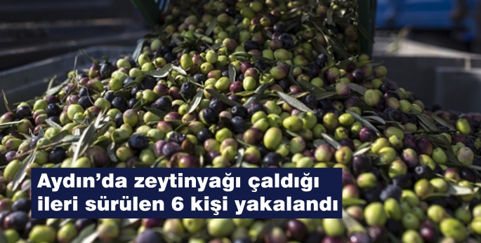 Aydın’da zeytinyağı çaldığı ileri sürülen 6 kişi yakalandı
