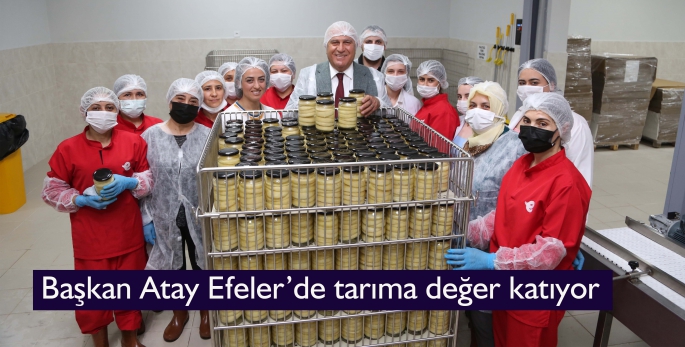 Başkan Atay Efeler’de tarıma değer katıyor