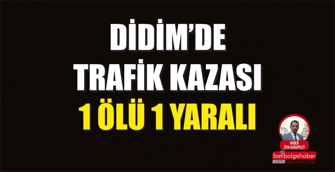 DİDİM'DE TRAFİK KAZASI '1 ÖLÜ, 1 YARALI'