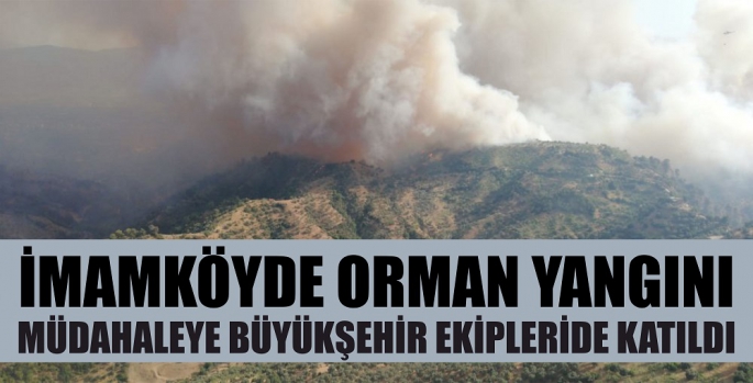 İmamköydeki yangına müdahale devam ediyor. Aydın büyükşehir Ekipleri de katıldı.