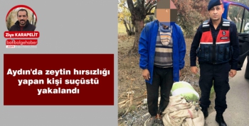 Aydın'da zeytin hırsızlığı yapan kişi suçüstü yakalandı